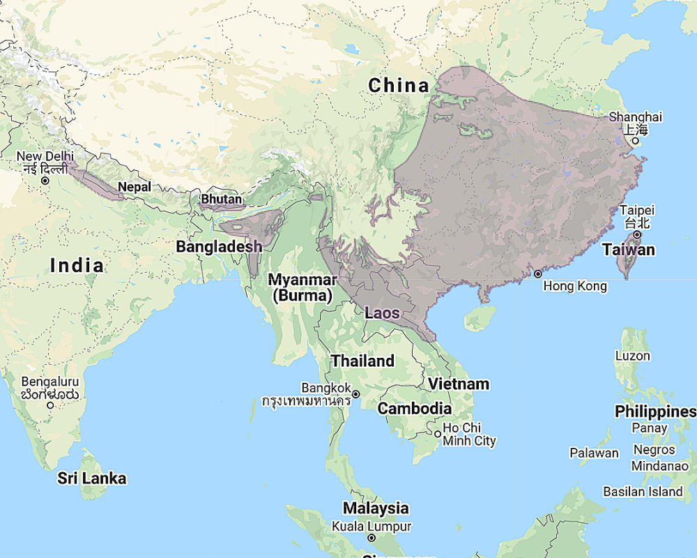 Range of Tawny Fish Owl (Ketupa flavipes)