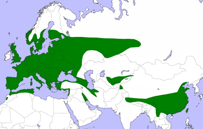 Range of Eurasian Tawny Owl (Strix aluco)