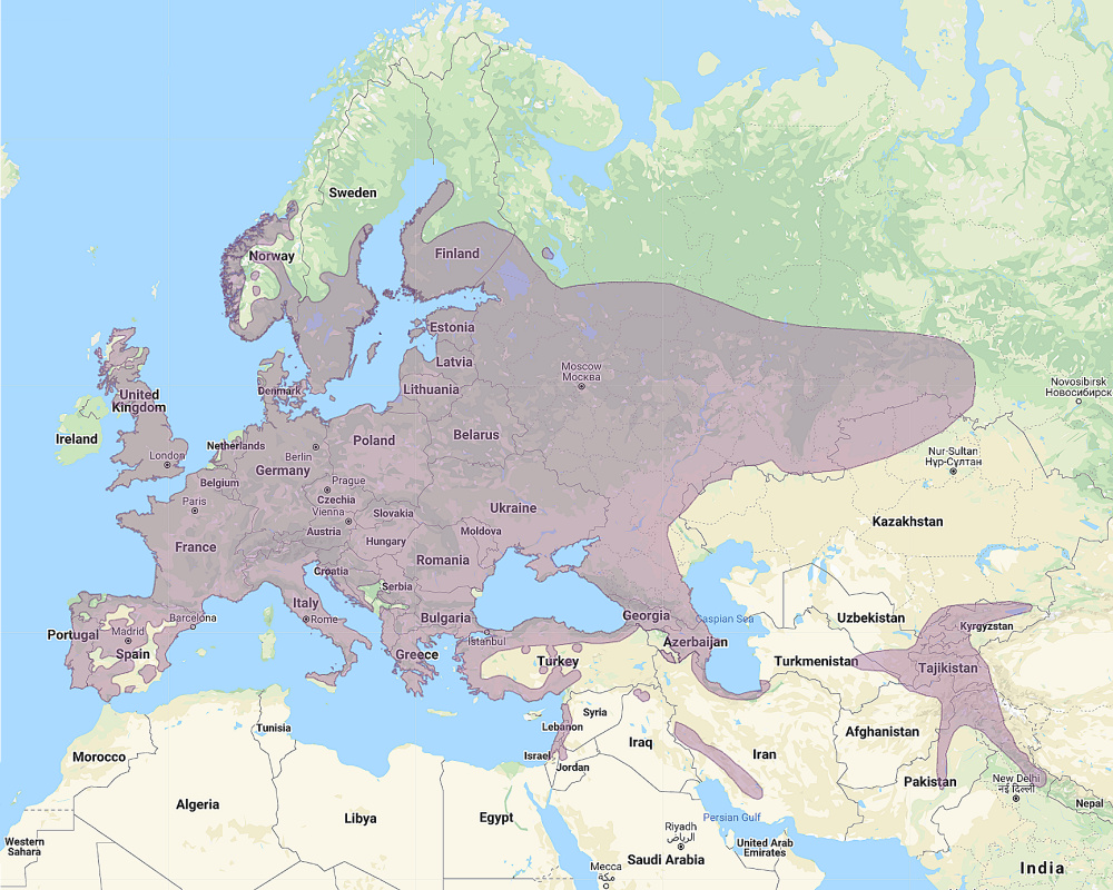 Range of Tawny Owl (Strix aluco)