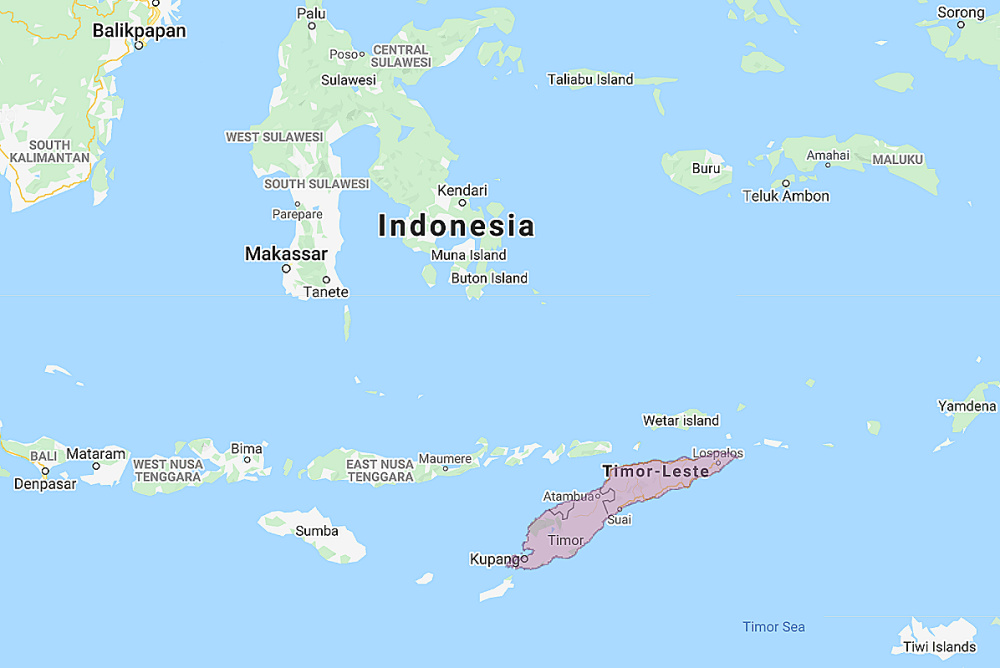 Range of Timor Boobook (Ninox fusca)