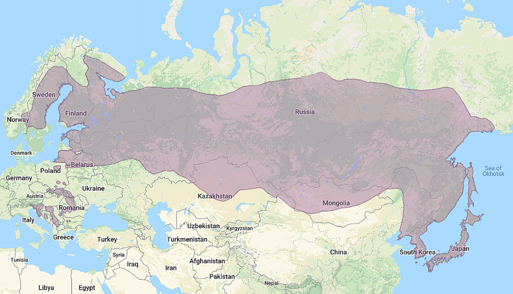 Range of Ural Owl (Strix uralensis)