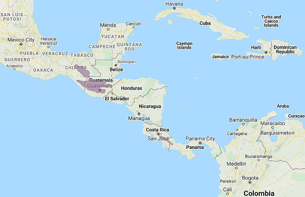 Range of Unspotted Saw-whet Owl (Aegolius ridgwayi)