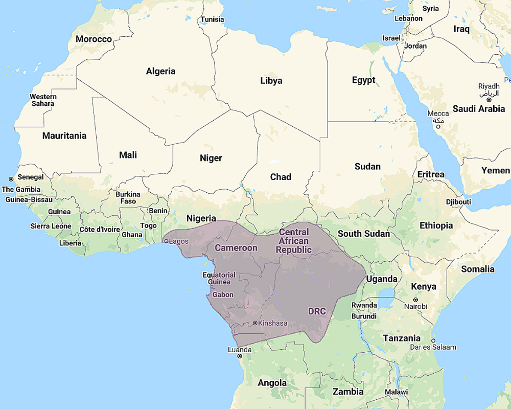 Range of Vermiculated Fishing Owl (Scotopelia bouvieri)