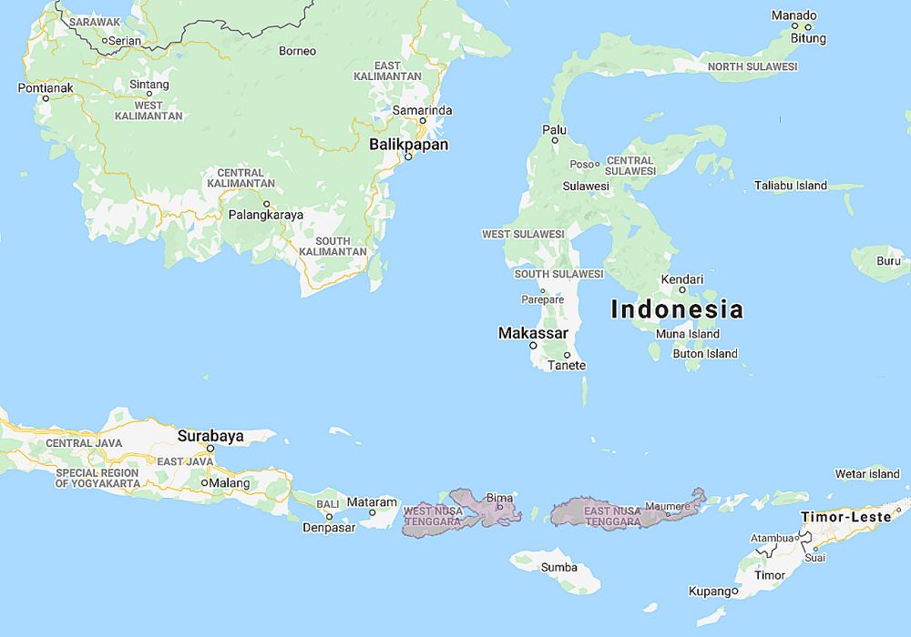 Range of Wallace's Scops Owl (Otus silvicola)