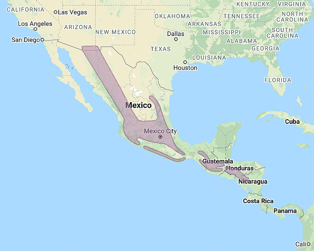 Range of Whiskered Screech Owl (Megascops trichopsis)