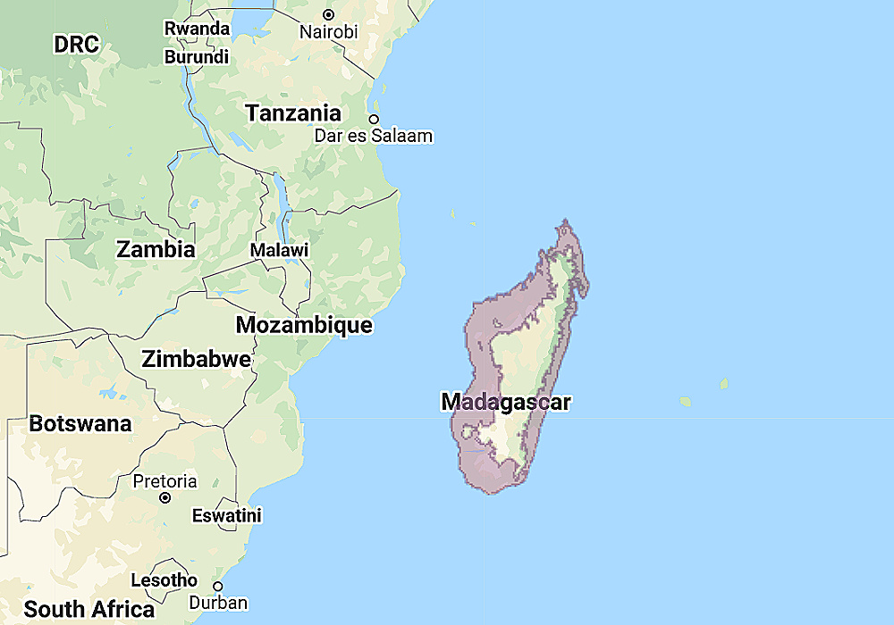 Range of White-browed Owl (Athene superciliaris)