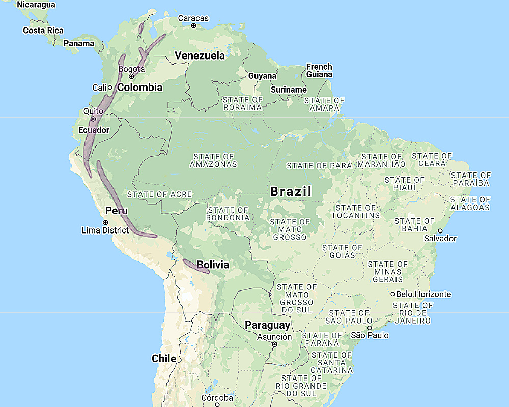 Range of White-throated Screech Owl (Megascops albogularis)