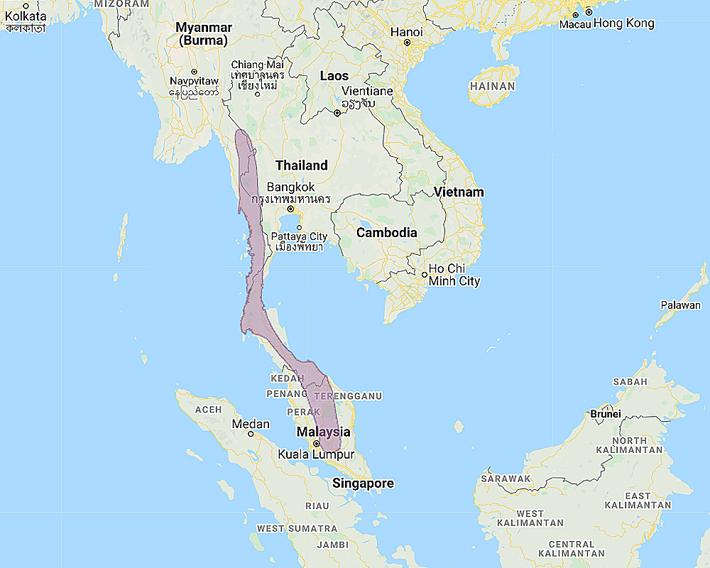 Range of White-fronted Scops Owl (Otus sagittatus)