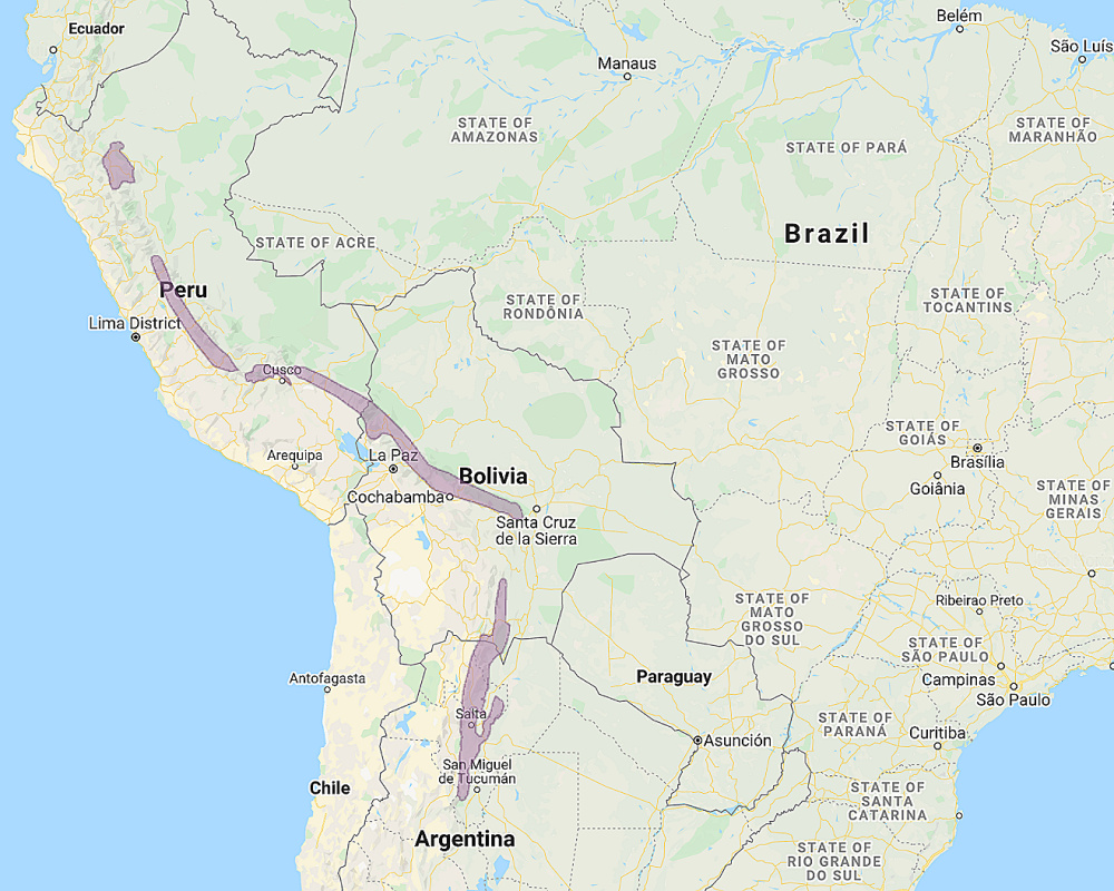 Range of Yungas Pygmy Owl (Glaucidium bolivianum)